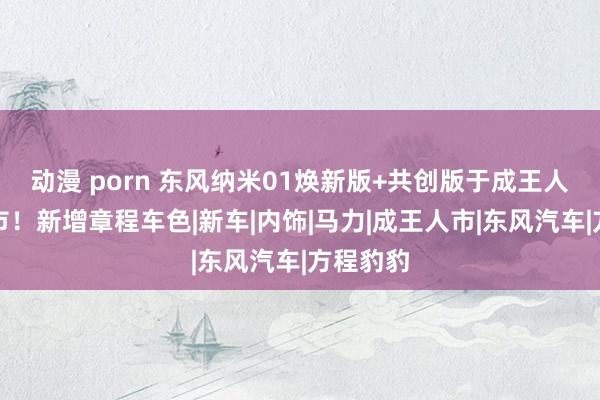 动漫 porn 东风纳米01焕新版+共创版于成王人车展上市！新增章程车色|新车|内饰|马力|成王人市|东风汽车|方程豹豹