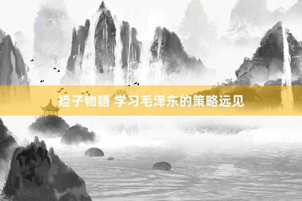 姪子物語 学习毛泽东的策略远见