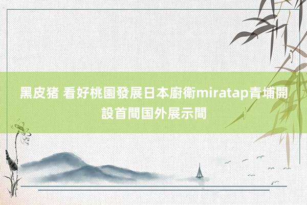 黑皮猪 看好桃園發展　日本廚衛miratap青埔開設首間国外展示間