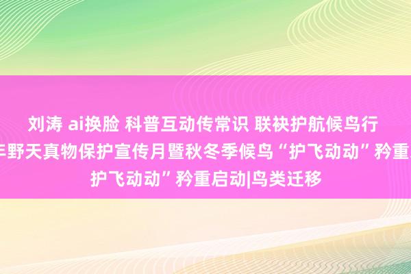 刘涛 ai换脸 科普互动传常识 联袂护航候鸟行 山西省2024年野天真物保护宣传月暨秋冬季候鸟“护飞动动”矜重启动|鸟类迁移