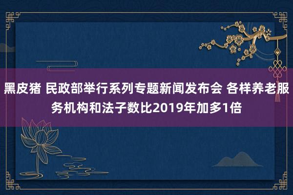 黑皮猪 民政部举行系列专题新闻发布会 各样养老服务机构和法子数比2019年加多1倍