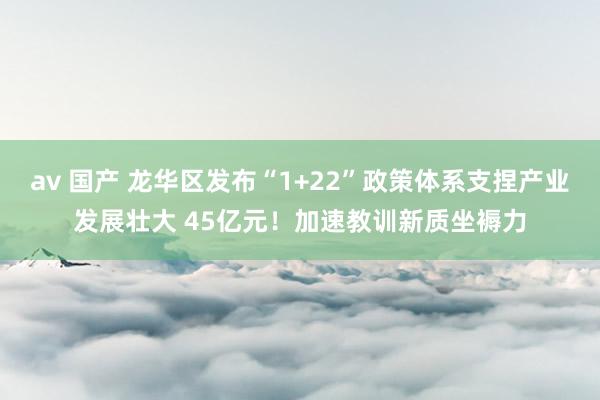 av 国产 龙华区发布“1+22”政策体系支捏产业发展壮大 45亿元！加速教训新质坐褥力