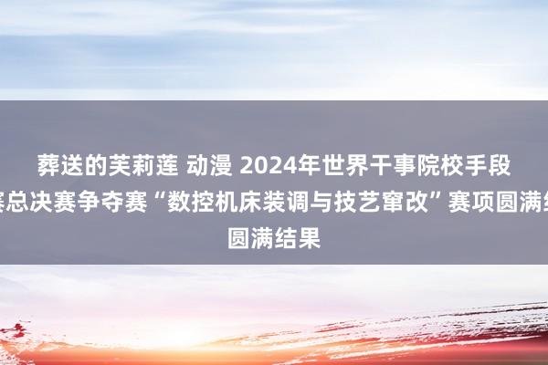 葬送的芙莉莲 动漫 2024年世界干事院校手段大赛总决赛争夺赛“数控机床装调与技艺窜改”赛项圆满结果