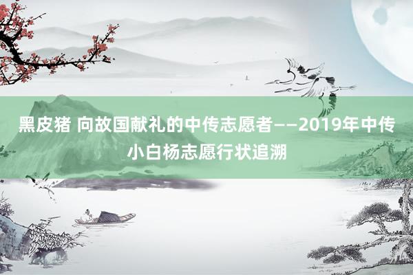 黑皮猪 向故国献礼的中传志愿者——2019年中传小白杨志愿行状追溯