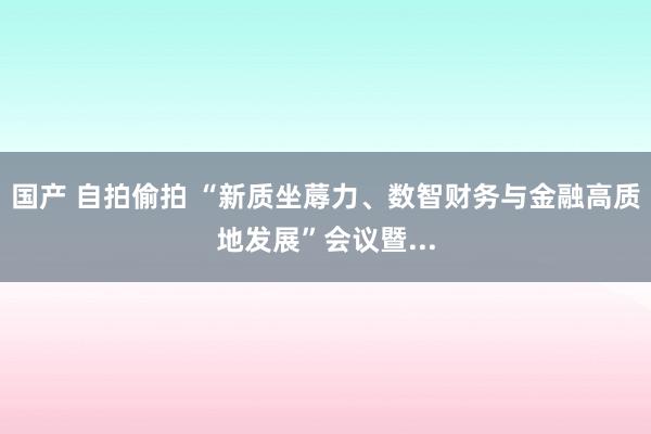 国产 自拍偷拍 “新质坐蓐力、数智财务与金融高质地发展”会议暨...