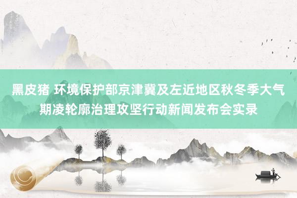 黑皮猪 环境保护部京津冀及左近地区秋冬季大气期凌轮廓治理攻坚行动新闻发布会实录