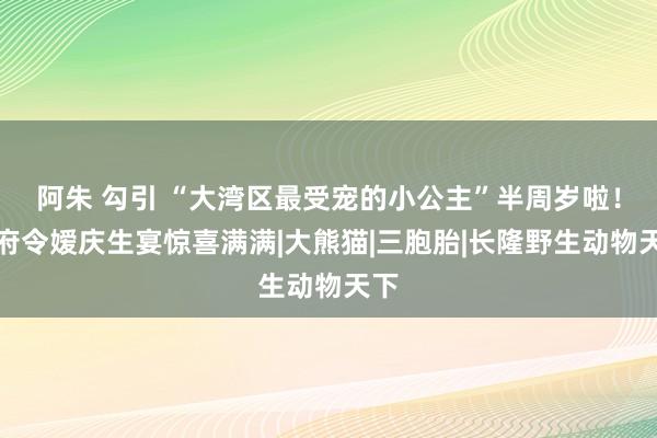 阿朱 勾引 “大湾区最受宠的小公主”半周岁啦！广府令嫒庆生宴惊喜满满|大熊猫|三胞胎|长隆野生动物天下